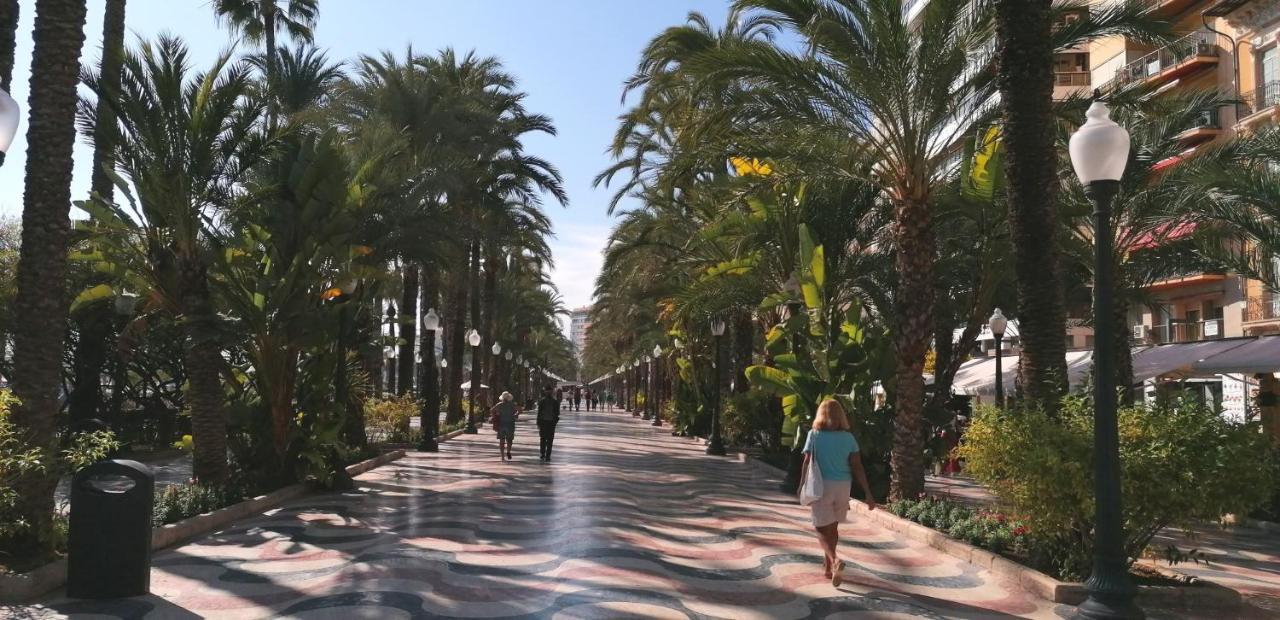 Piso Casco Historico Alicante Zewnętrze zdjęcie